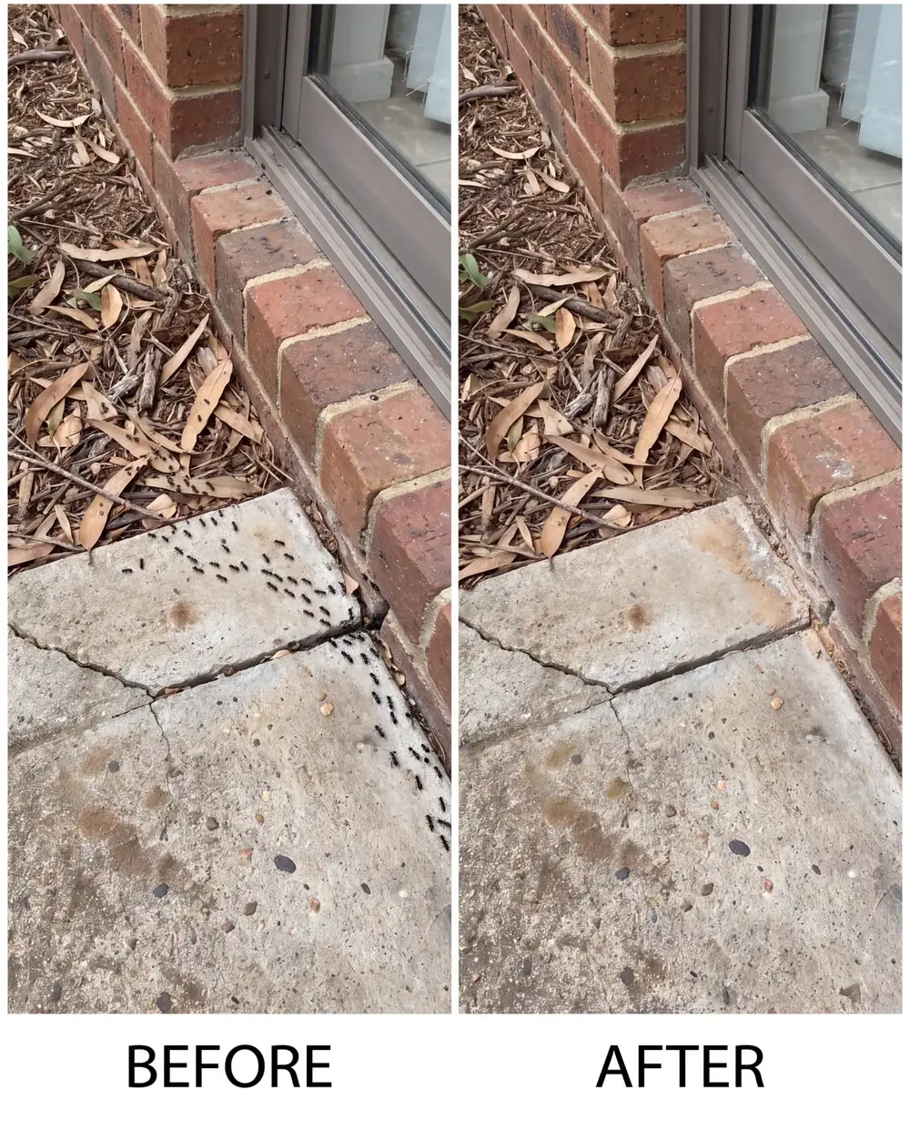 Before and after ant treatment at a Melbourne home's back door